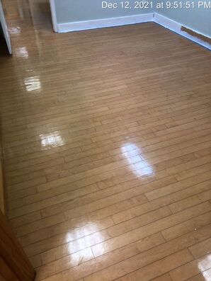 Floor Cleaning Services in Hollywood, FL (2)
