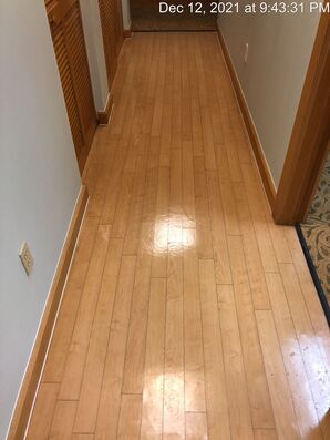 Floor Cleaning Services in West Hollywood, FL (1)